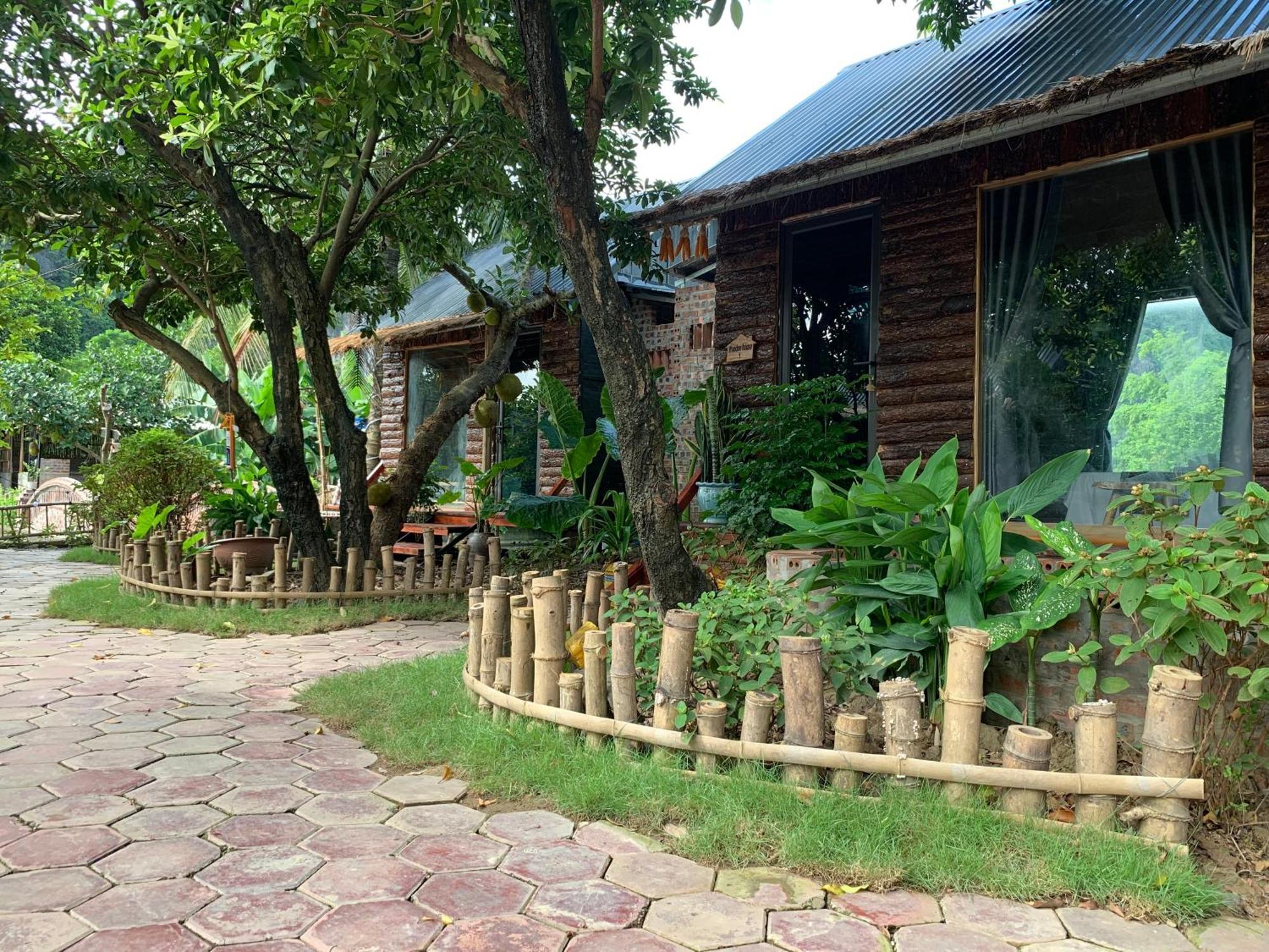 Peaceful Refuge Homestay นิญบิ่ญ ภายนอก รูปภาพ