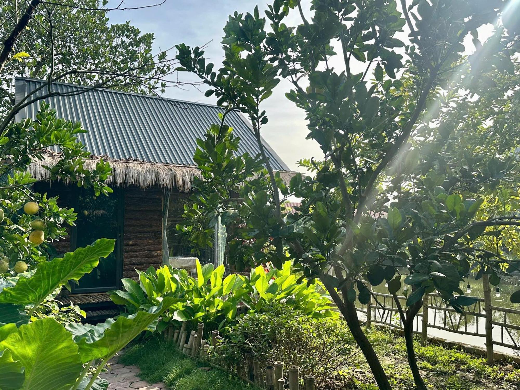 Peaceful Refuge Homestay นิญบิ่ญ ภายนอก รูปภาพ